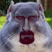 style="display: block;"